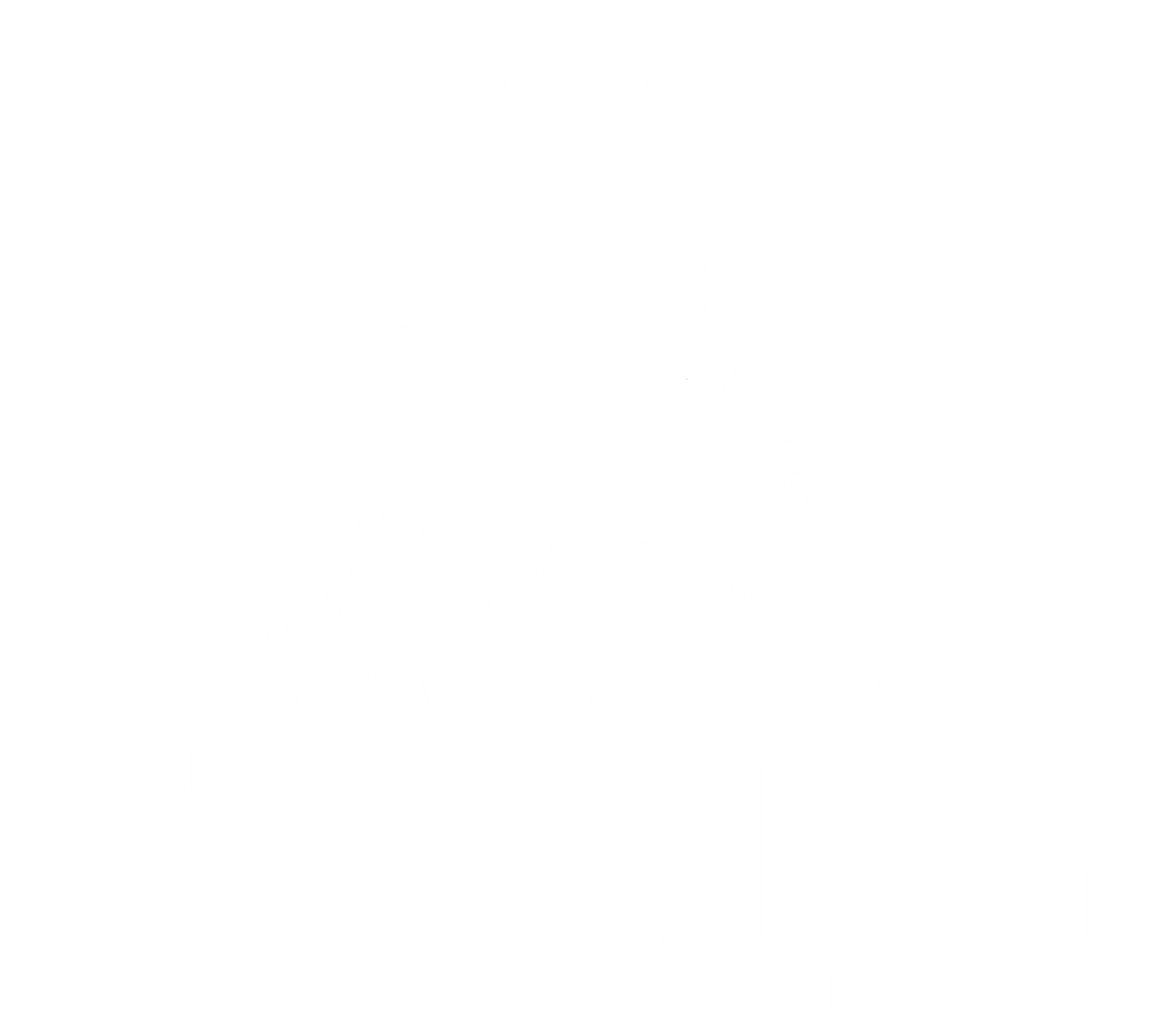 EL REY PIROTECNIA